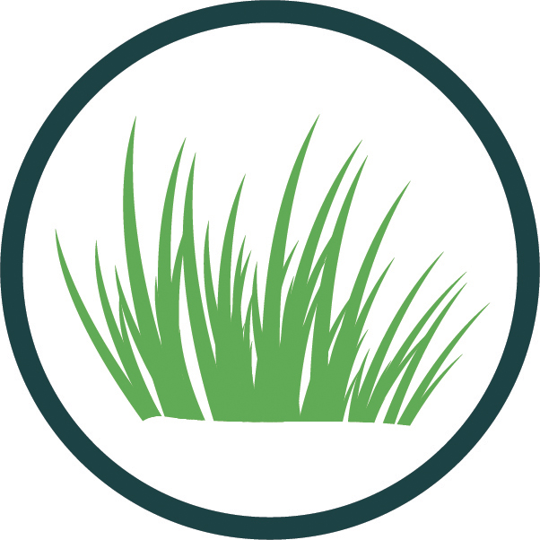 erba icon